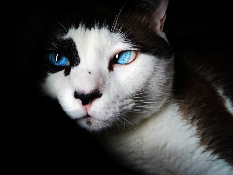 Ojos Azules